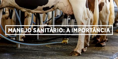 megabov 500ml valor|MANEJO SANITÁRIO COM GADO .